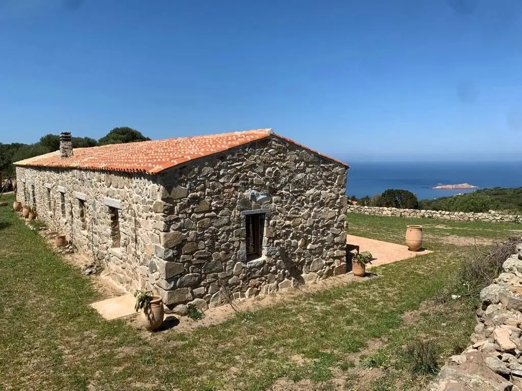 Battement d'ailes, de Milena Agus